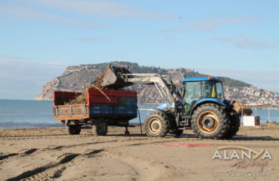 (EN) ALTİD sahilleri temizledi