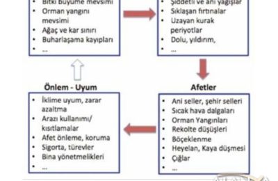 (EN) Sürdürülebilir Turizm ve İklim Değişikliği konuşuldu