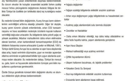 (EN) Sürdürülebilir Turizm ve İklim Değişikliği konuşuldu