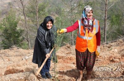 Ormana sahip çıktılar