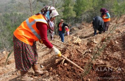 (EN) Ormana sahip çıktılar