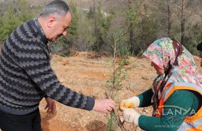 Ormana sahip çıktılar