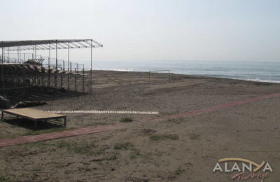 ALTİD Plajları Temizliyor