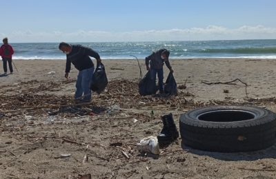 Alanya sahilleri temizleniyor