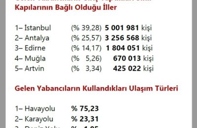 (Turkish) Turist İstatistikleri (Türkiye 2020)